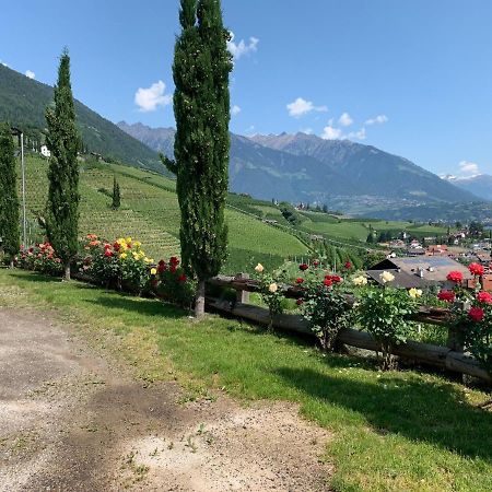 Appartamento Weingut Bachguetl Cermes Esterno foto