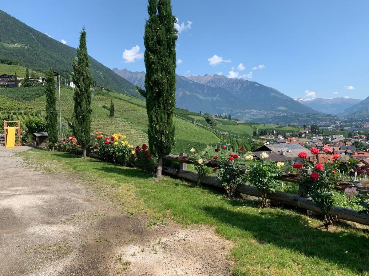 Appartamento Weingut Bachguetl Cermes Esterno foto