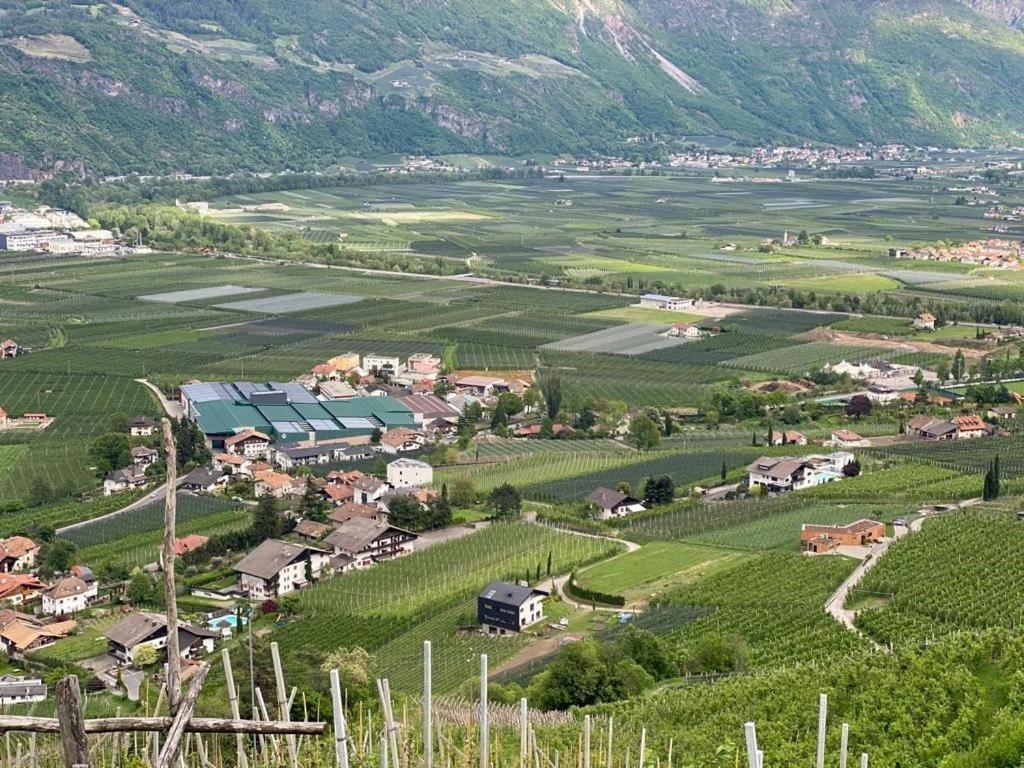 Appartamento Weingut Bachguetl Cermes Esterno foto