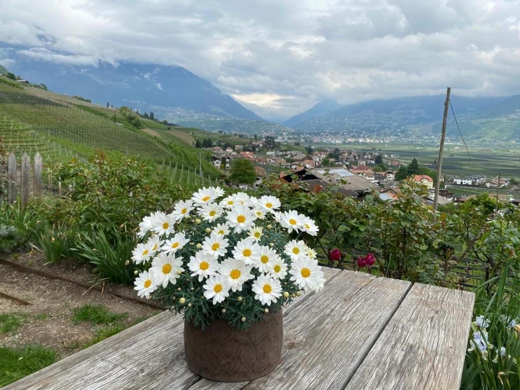 Appartamento Weingut Bachguetl Cermes Esterno foto