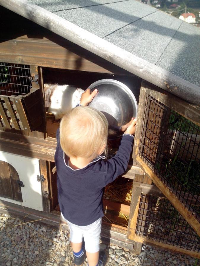 Appartamento Weingut Bachguetl Cermes Esterno foto